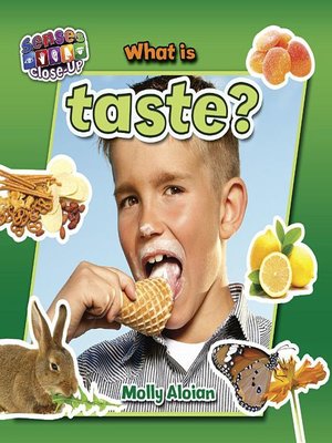 cover image of What is taste?